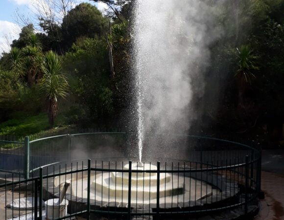 Mokena Geyser