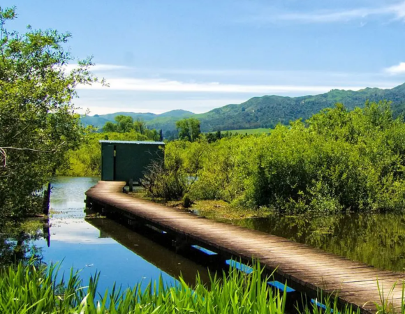 Howarth Memorial Wetland Loop Walk