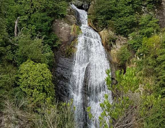 Tui Domain Track and Tutumangao Falls