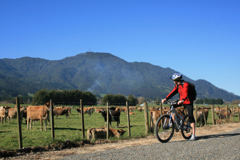 Hauraki Rail Trail