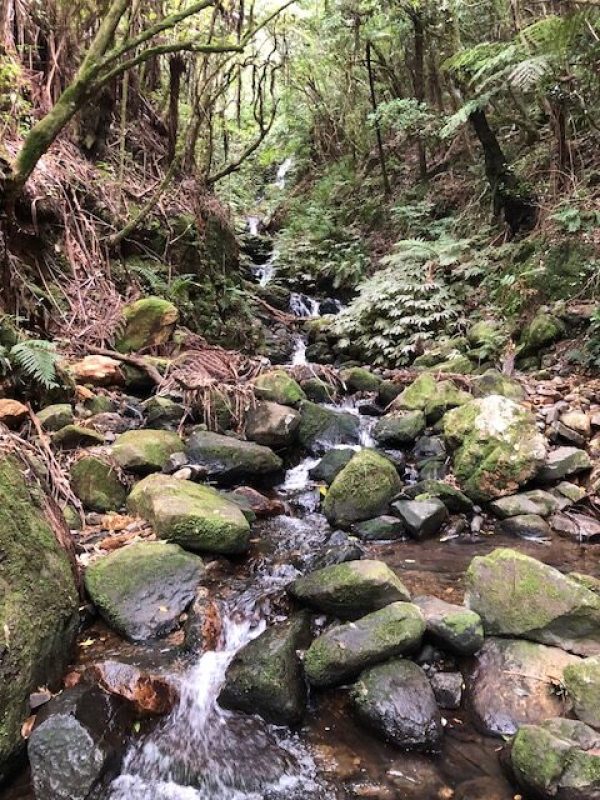 water feature Wairongomai