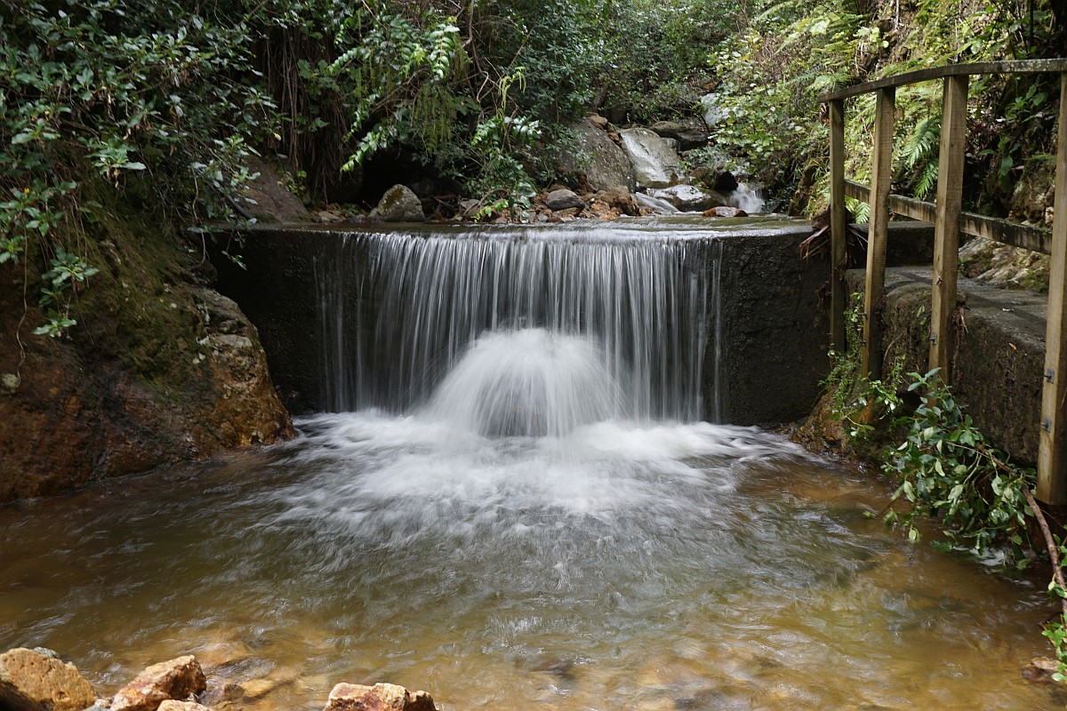 dsc03386-tearohatui-domain