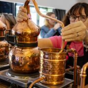 Te-Aroha-Gin-School-0378